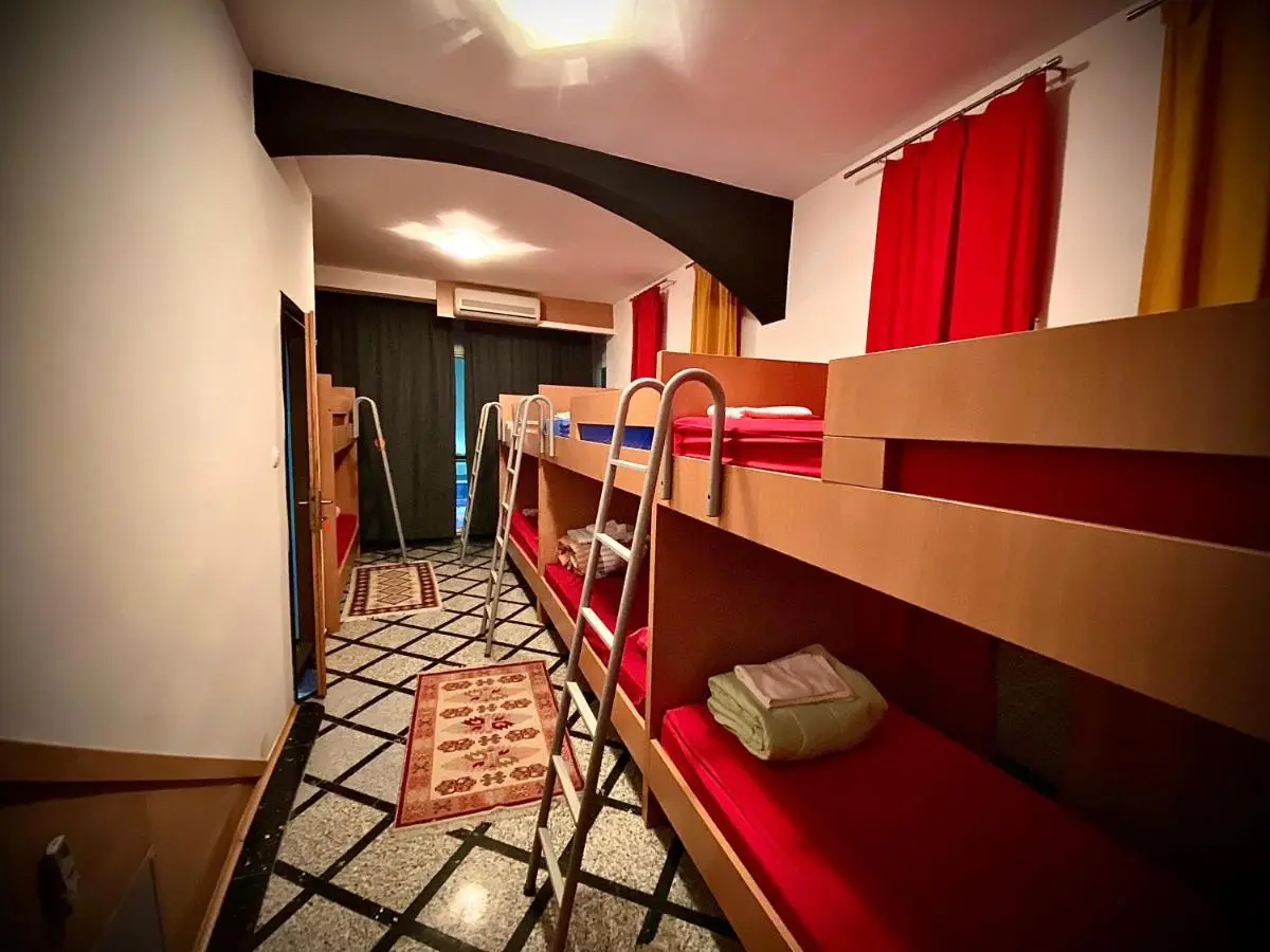 Hostel Backpackers
