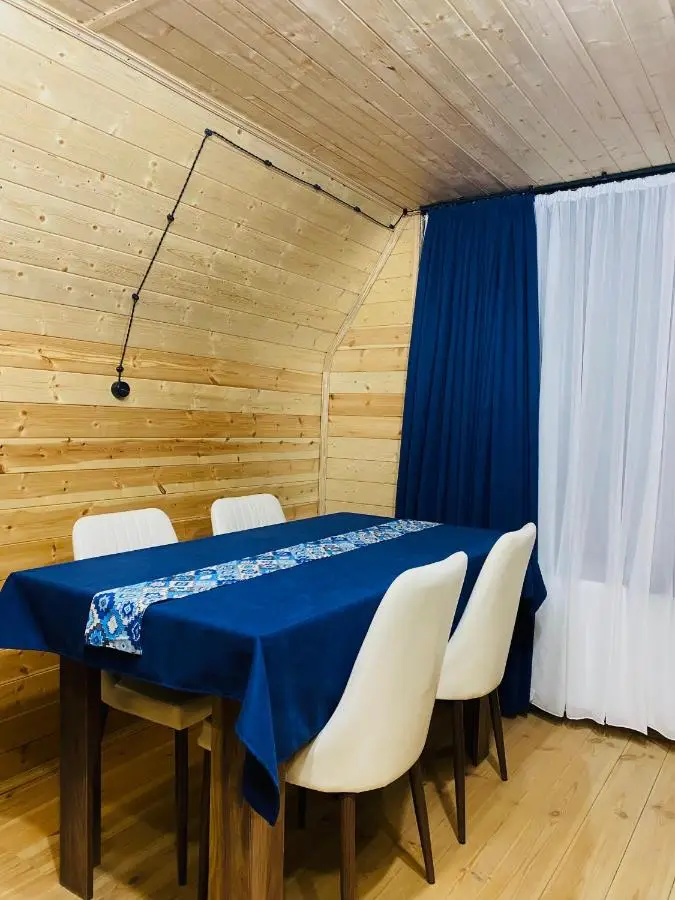 Aura Gudauri