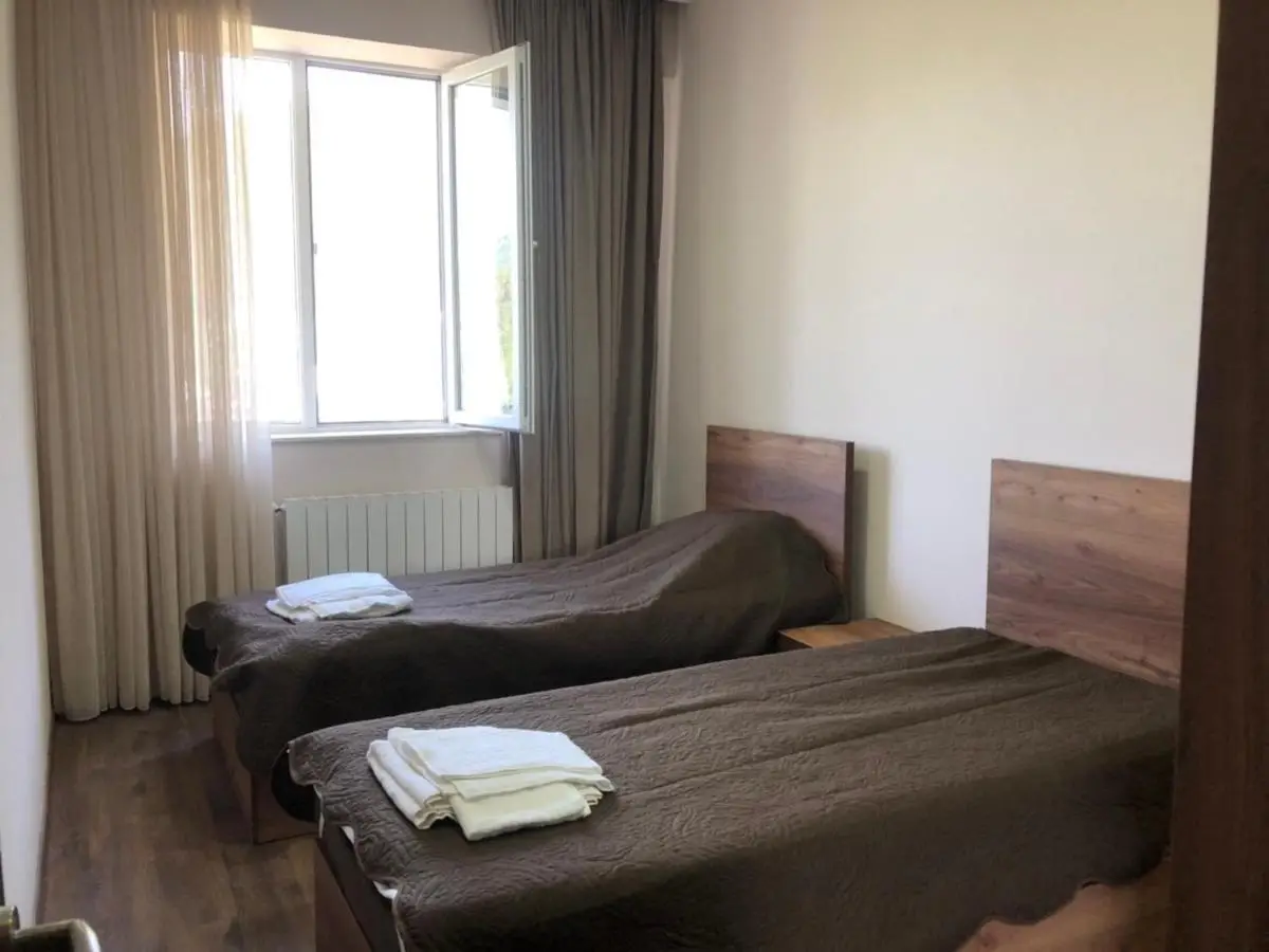 Borjomi-Likani Premium Apartments