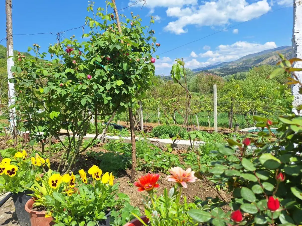 Spring Village Home