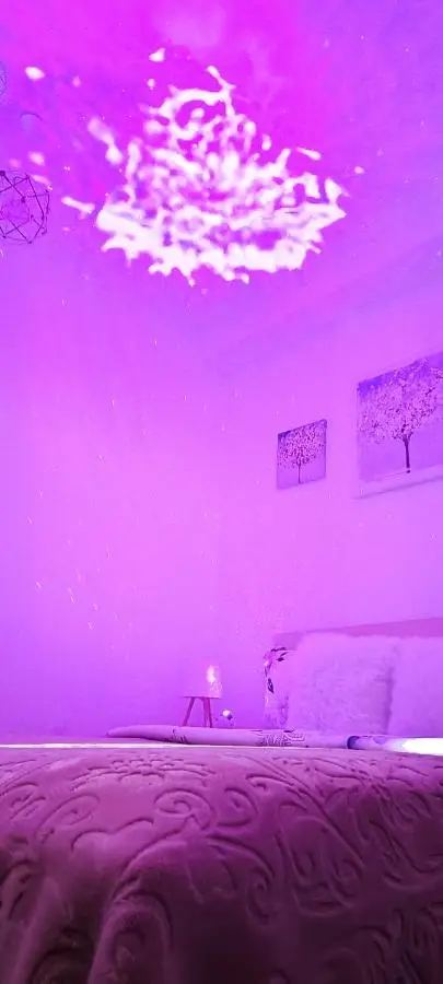 Ridi's Comfort Apartment 2