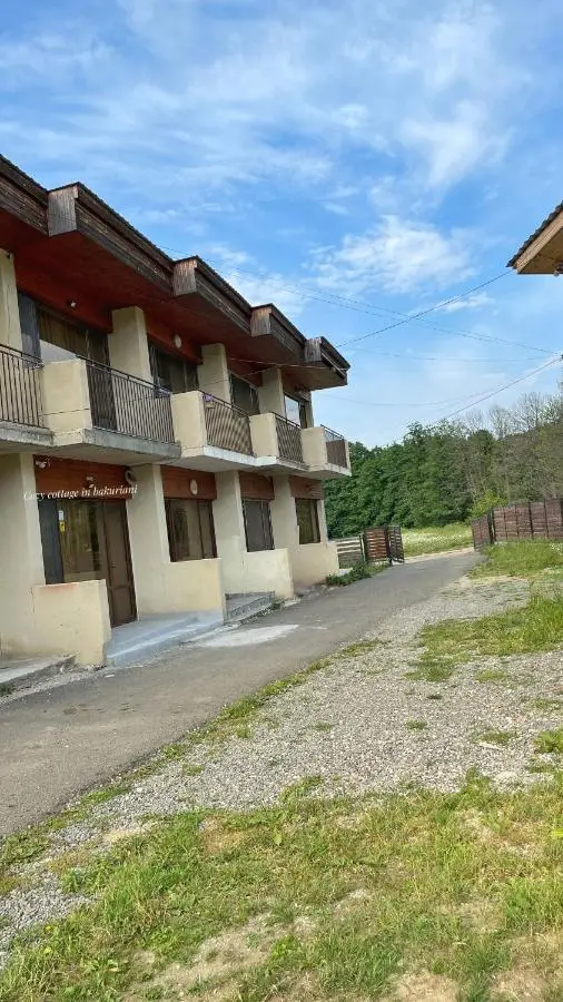 Cozy Cottage In Bakuriani