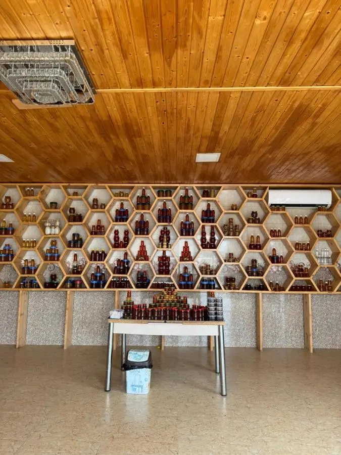 Hotel Okatsia სასტუმრო ოკაცია