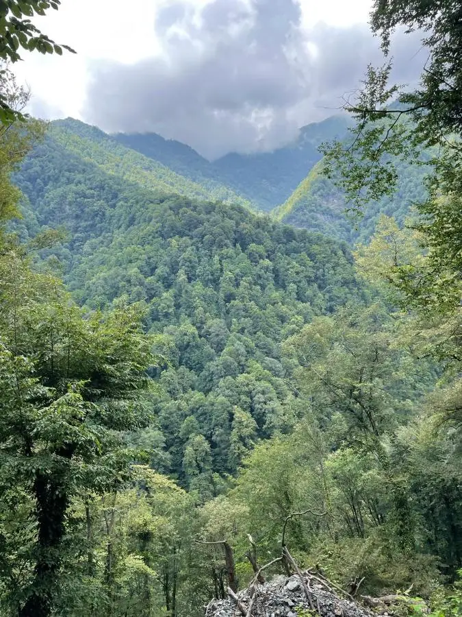 Green Corner