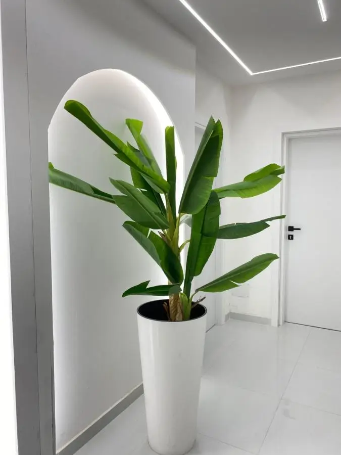 Rai Rooms
