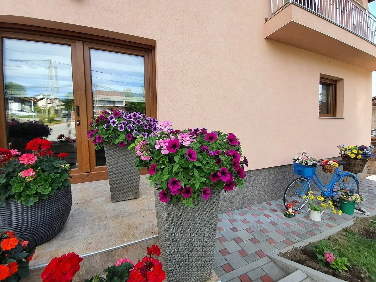 Karabegovic Appartment 1