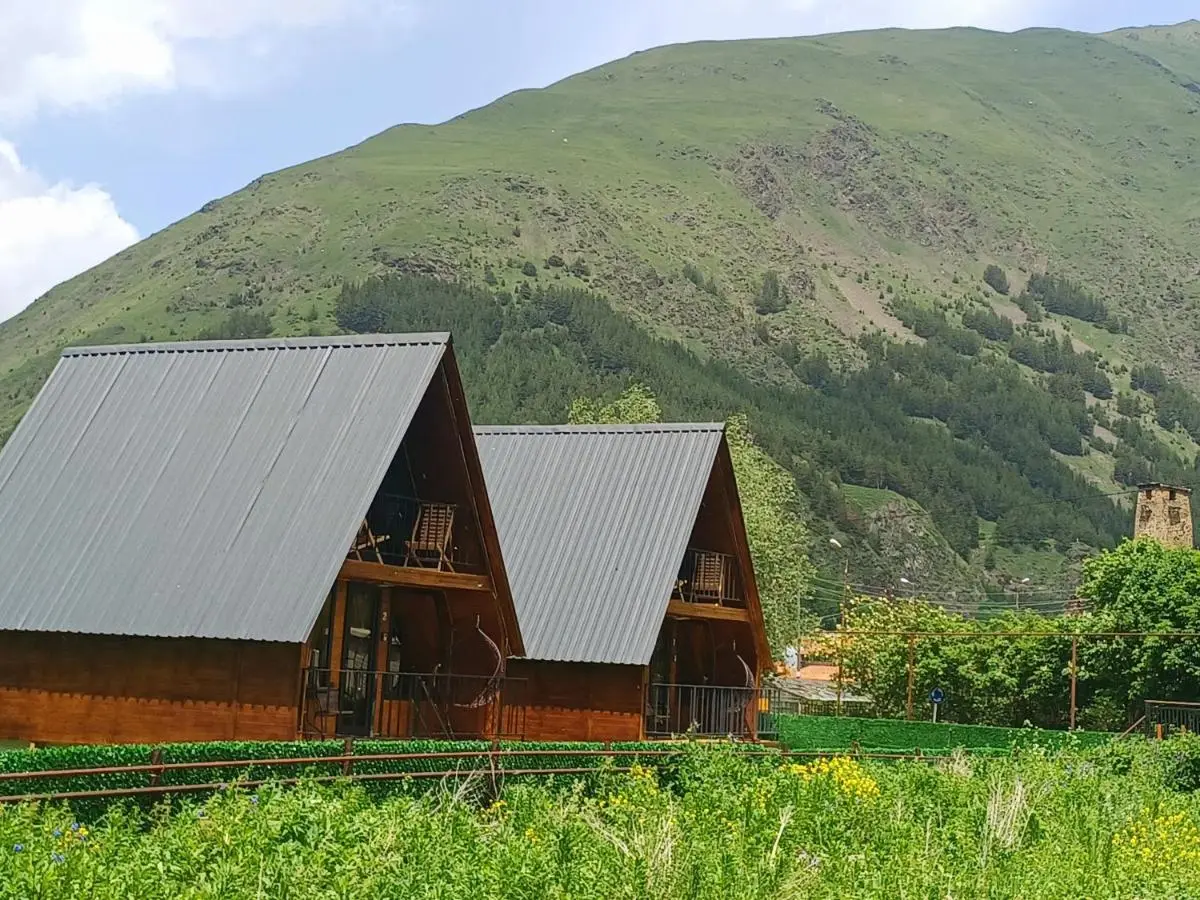 Panorama cottages Kazbegi