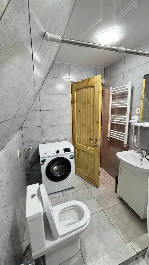 Wood cottage in Borjomi