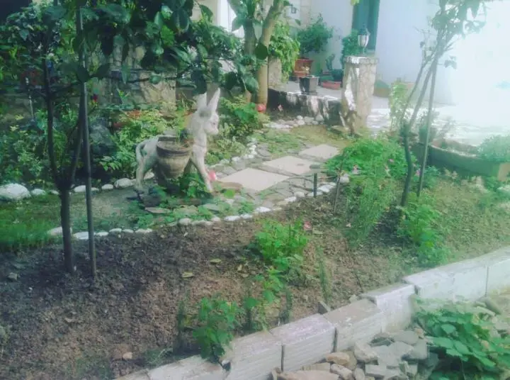 Guest House Mirza