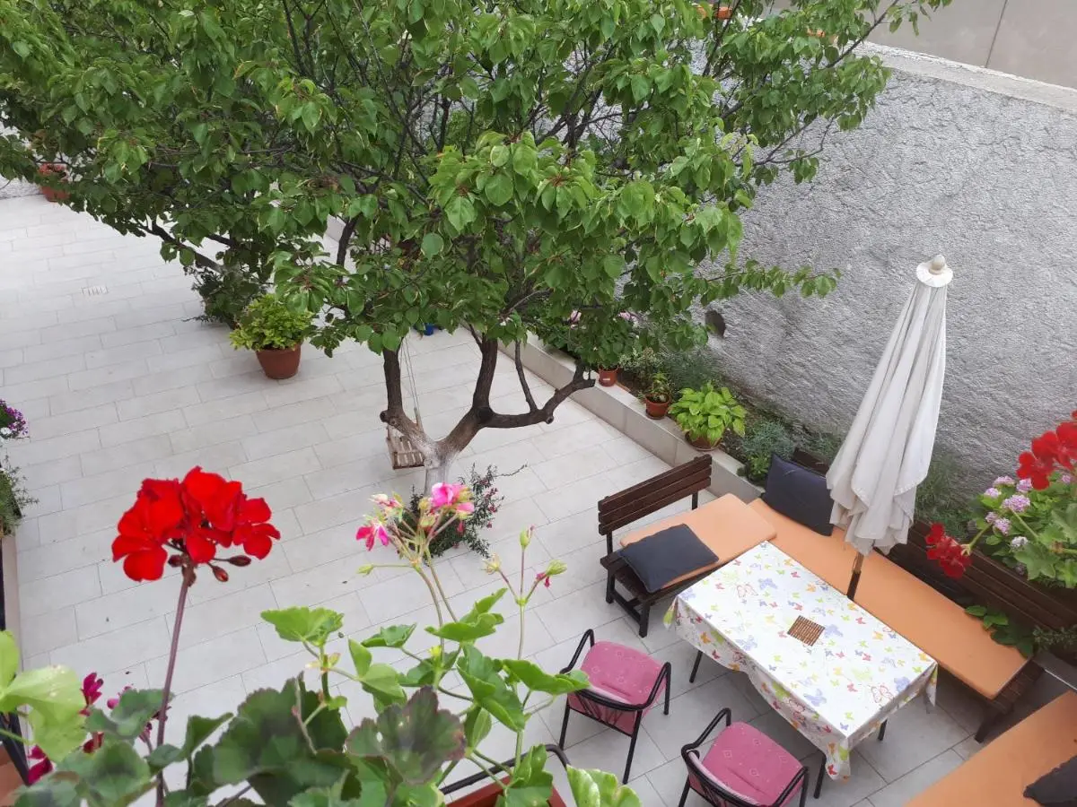 Hostel Bojo