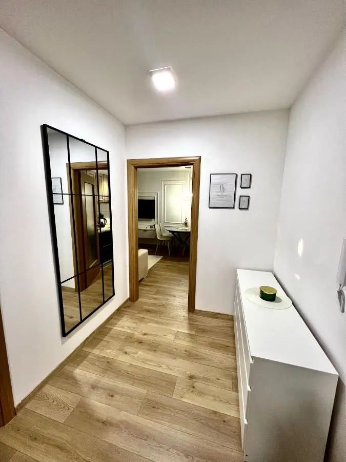Luxury apartment Ema