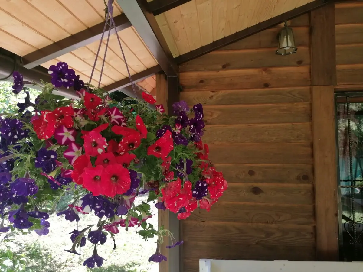 Holiday house "Unica" Lohovo