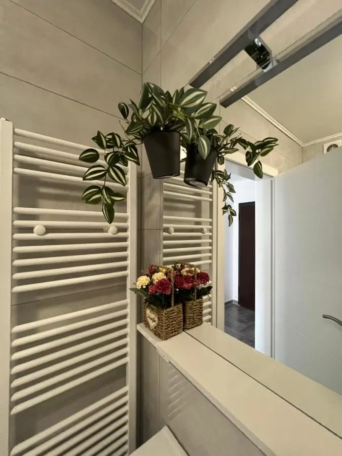 Apartman Jan