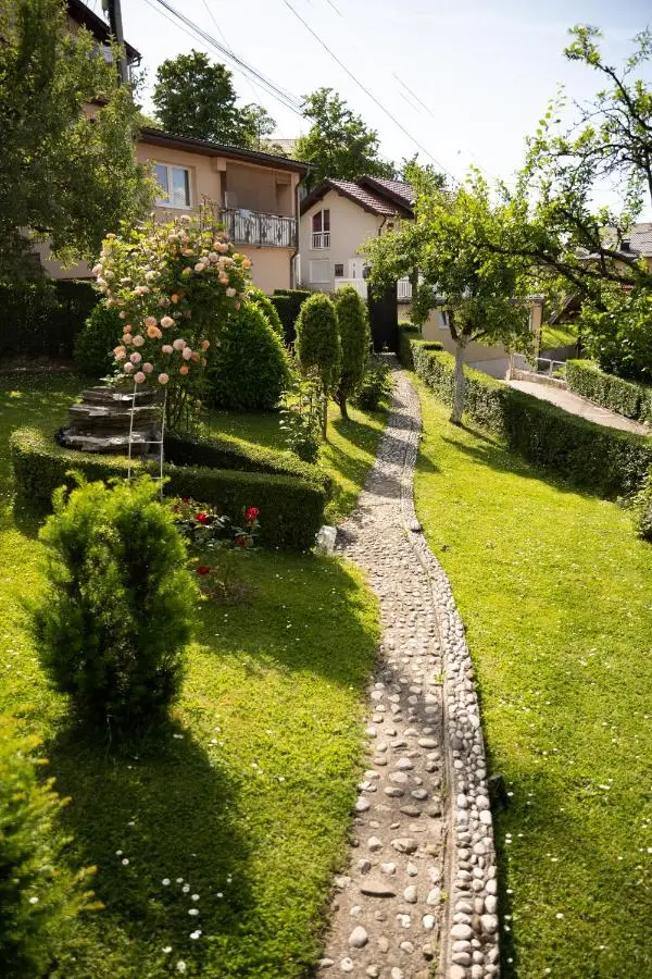 Apartman Hill