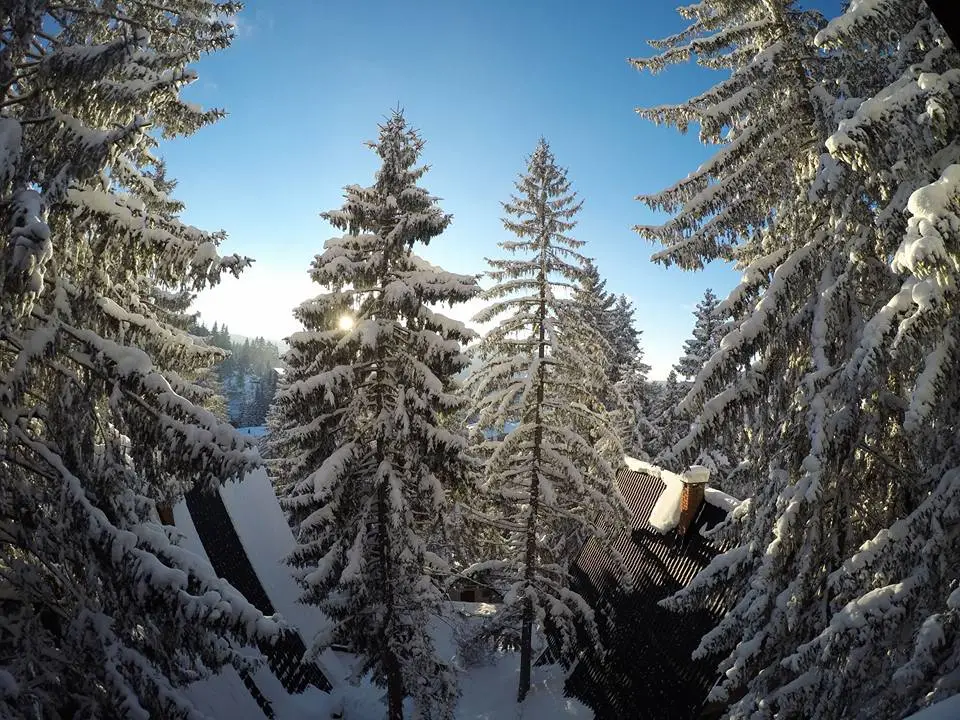 Vlasic Cabin