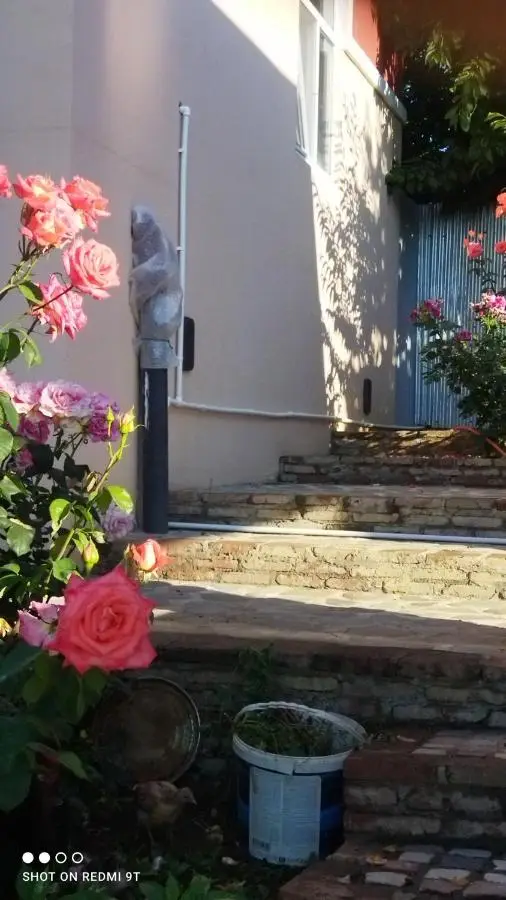 Quba Guest House