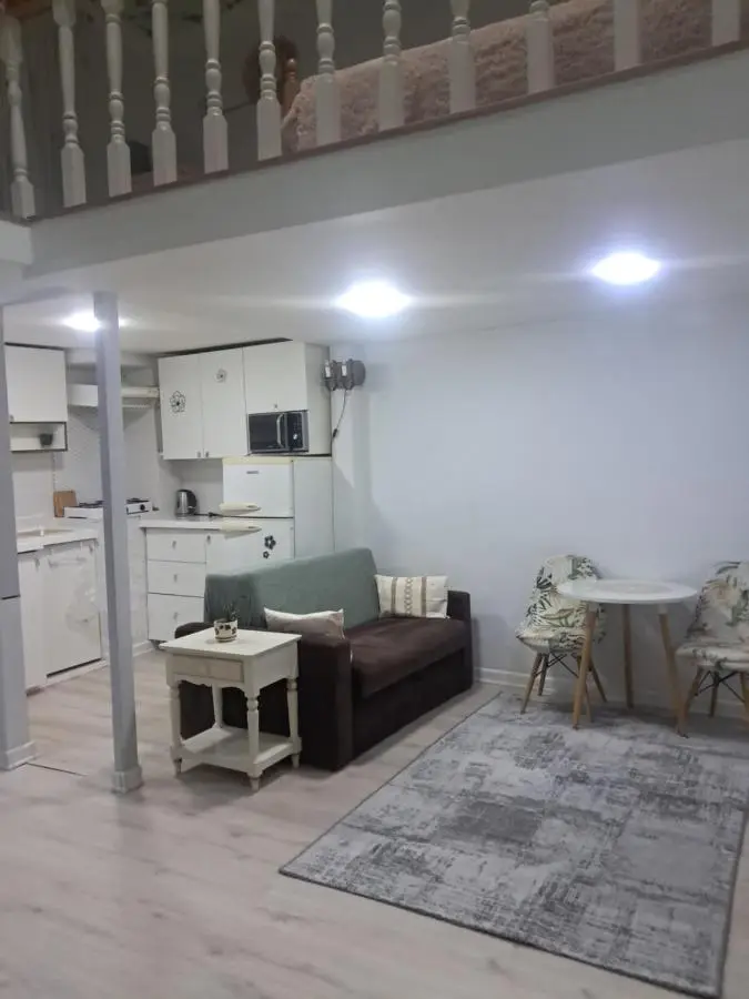 Comfortable apartment Nizami Street