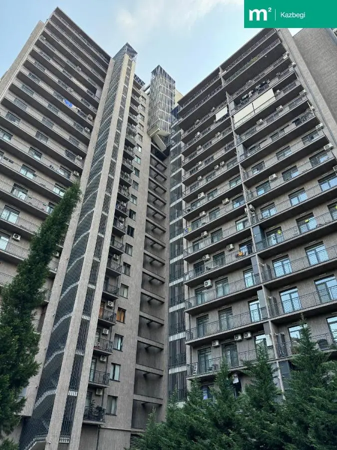 M2 Complex Spacious Apartment 2 on Kazbegi Avenue 25 in City Center