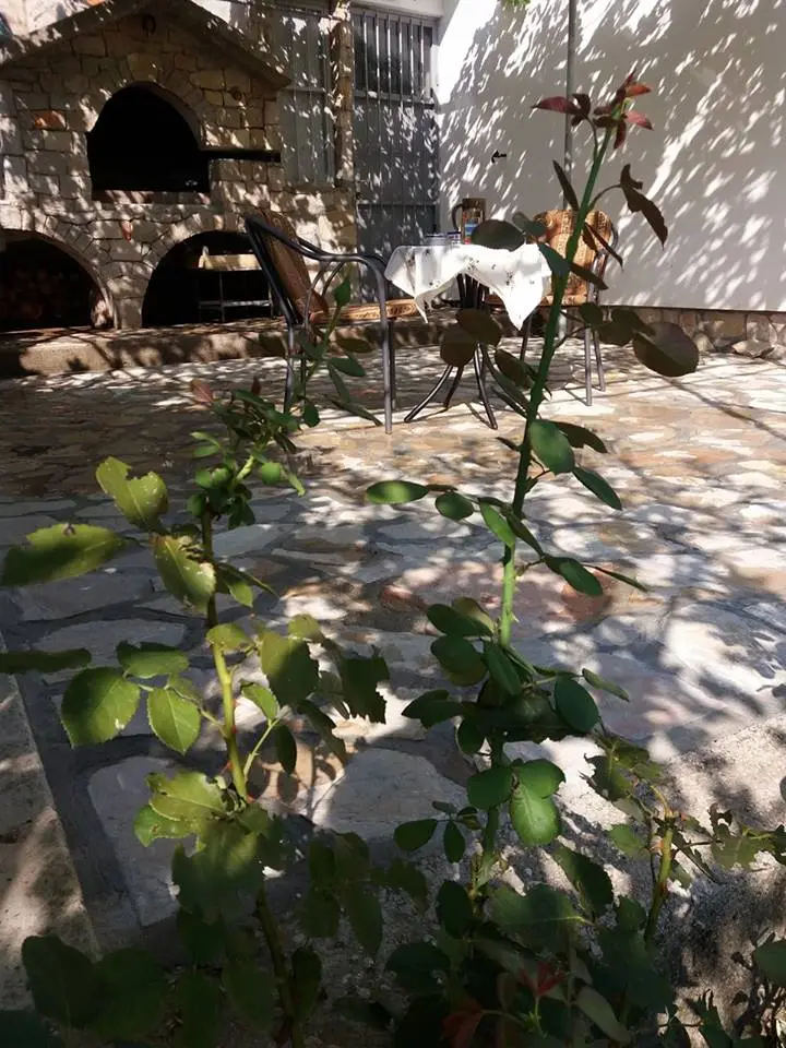Villa Lavanda