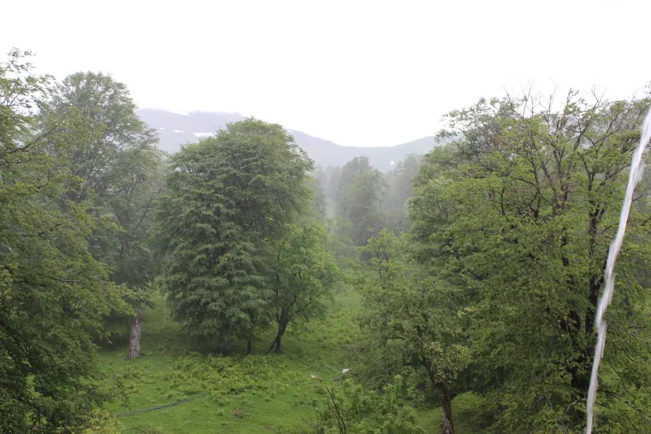 Bakuriani Valley
