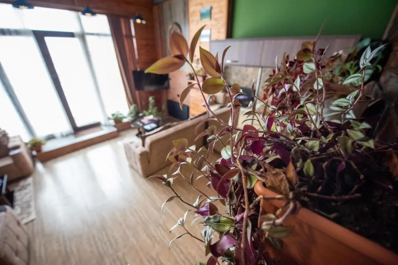Evdo Apartments Loft2 Wooden House