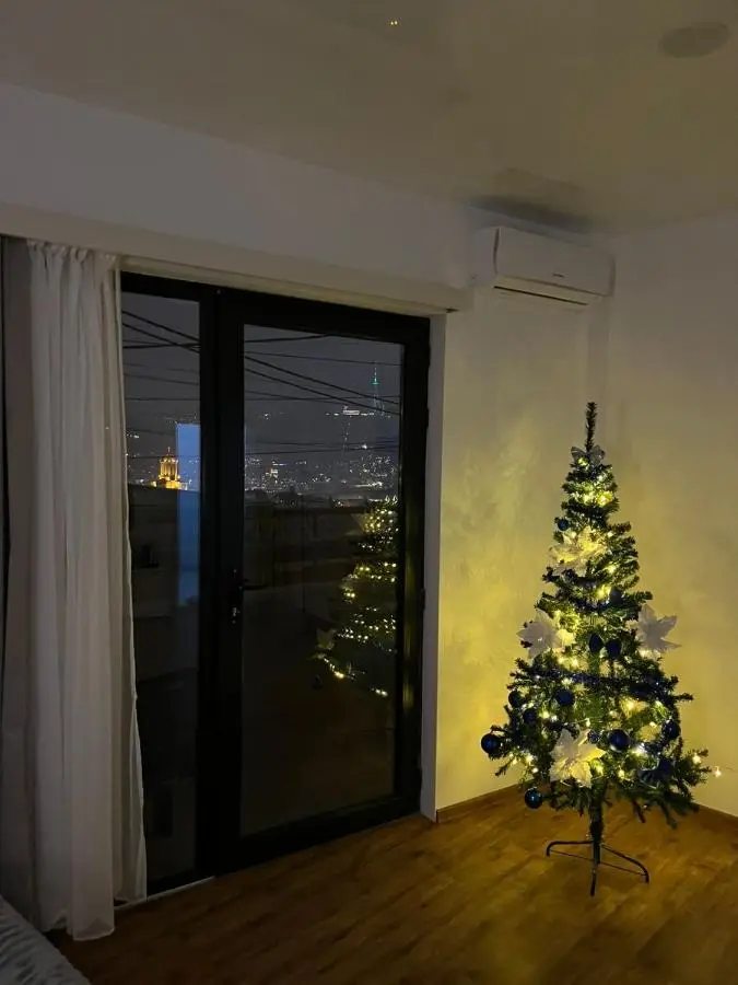 Tbilisi Panoramic Apartament