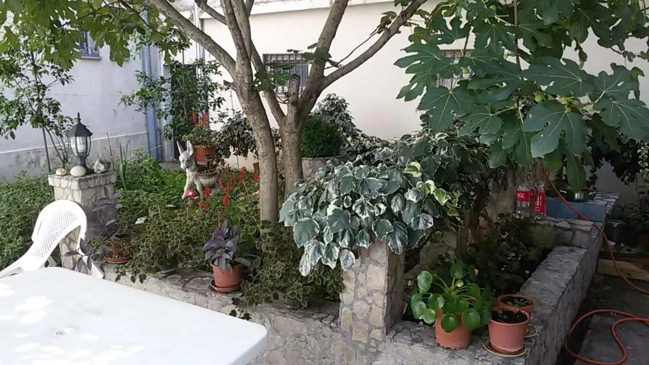 Guest House Mirza