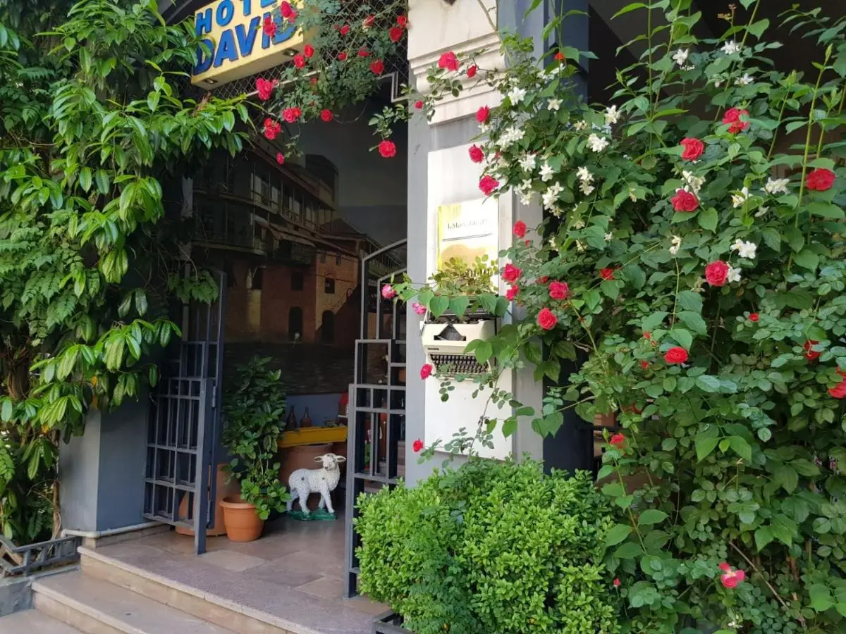 David Hotel - Ethno style