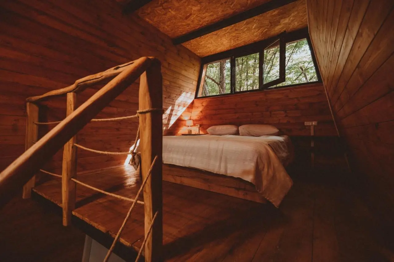 Eco Village In The Forest