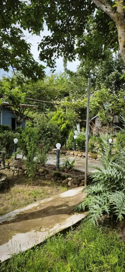 Mera Hostel