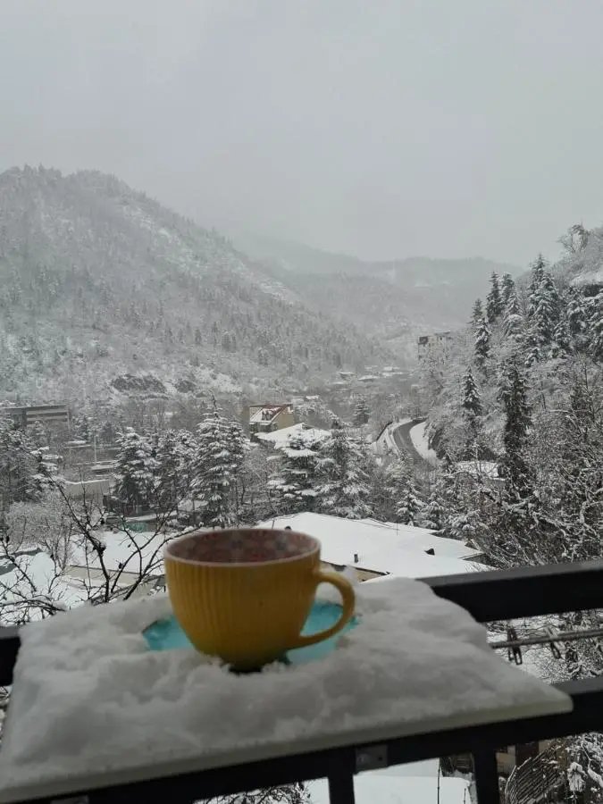 Borjomi Nest