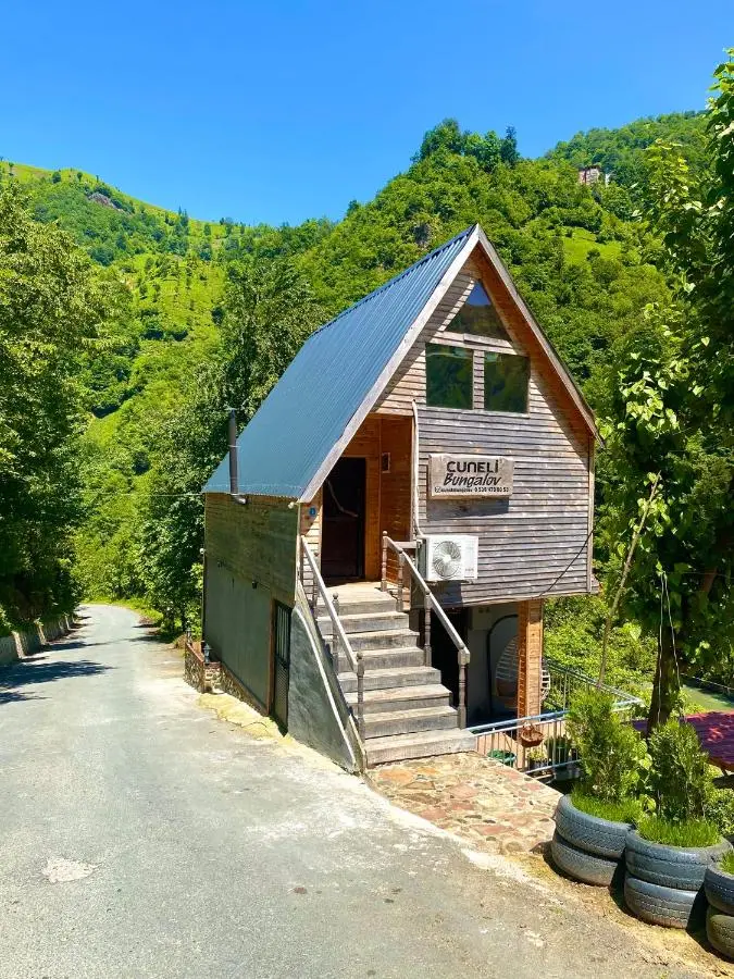 AyDeR CuNeLi BUnGaLoV