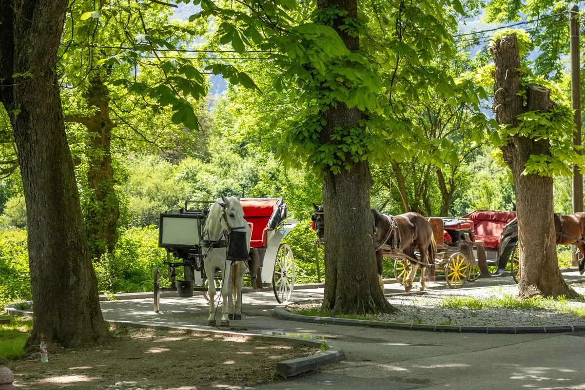 Ilidza Park King Studio