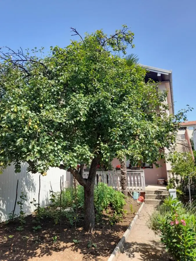 Apartman Avdić