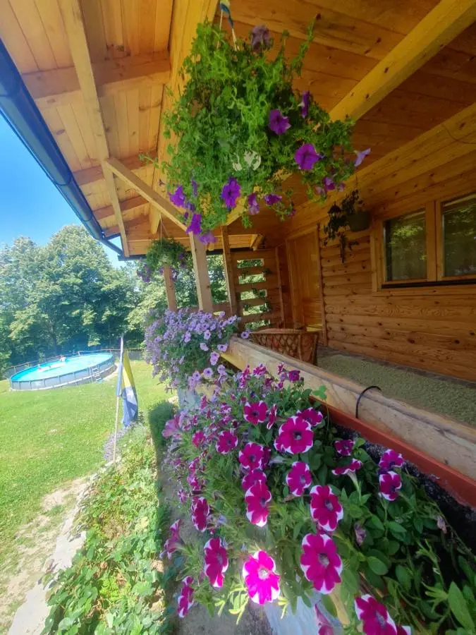 Drvena vikendica Teodora