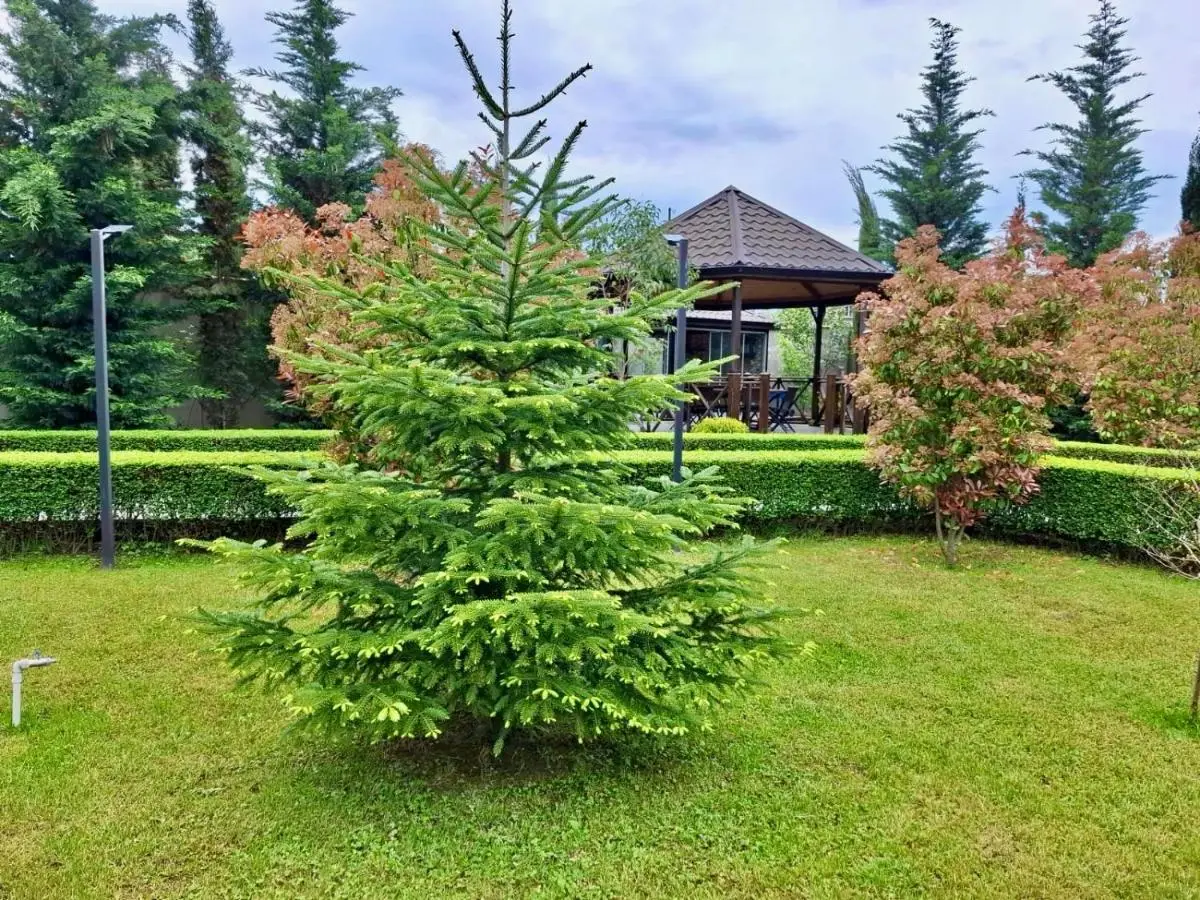 Villa Lux in Quba