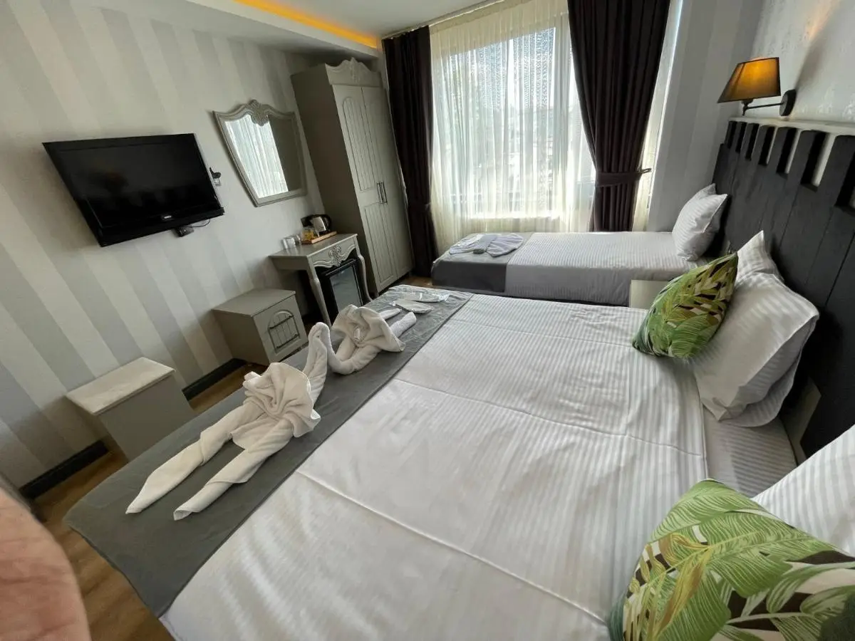 Old City Viva Hotel