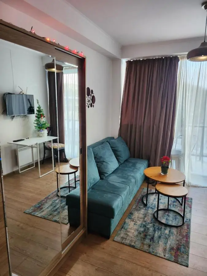 Bakuriani Art Hotel apartament