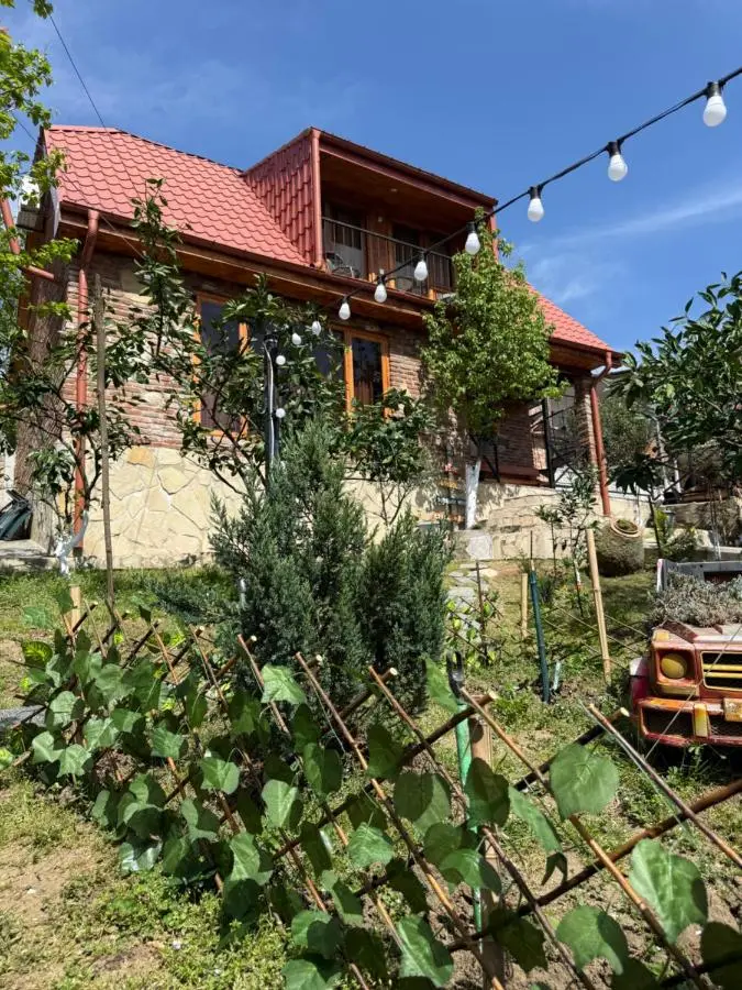 Sunshine House