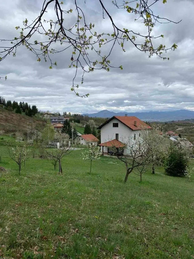 Zelena meraja