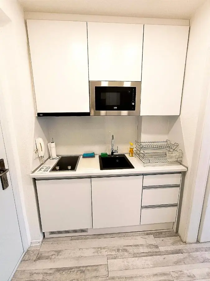 LuxApart Dzidzikovac City Centar free parking