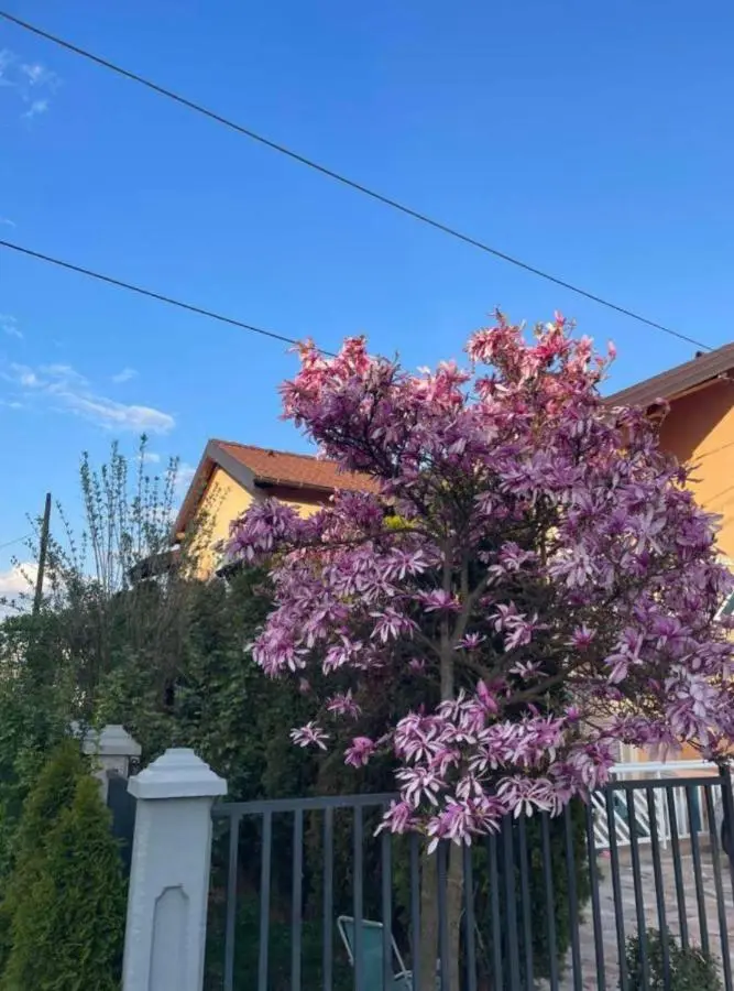 APARTMAN SARAJEVO DVOKREVETNI-dvije osobe