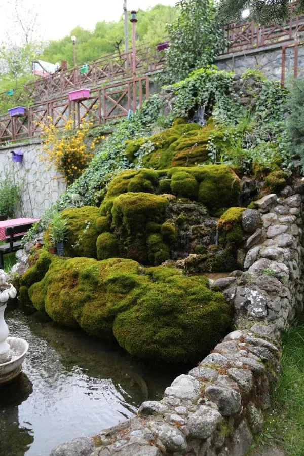 ABANT DORT MEVSİM KONAĞI HOSTEL
