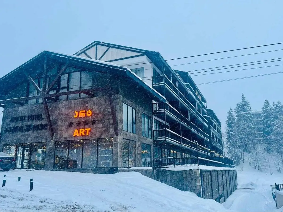 Bakuriani art apart hotel 203