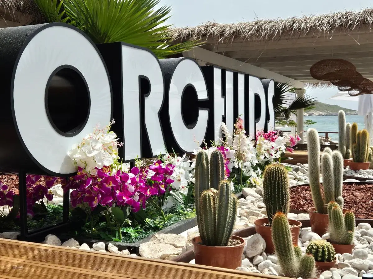 ORCHIDS Hotel