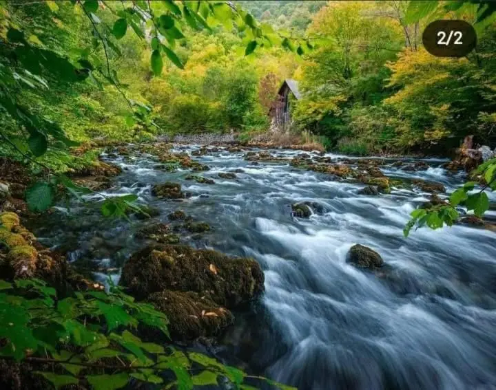 Smještaj na selu,porodica Gvozdenac