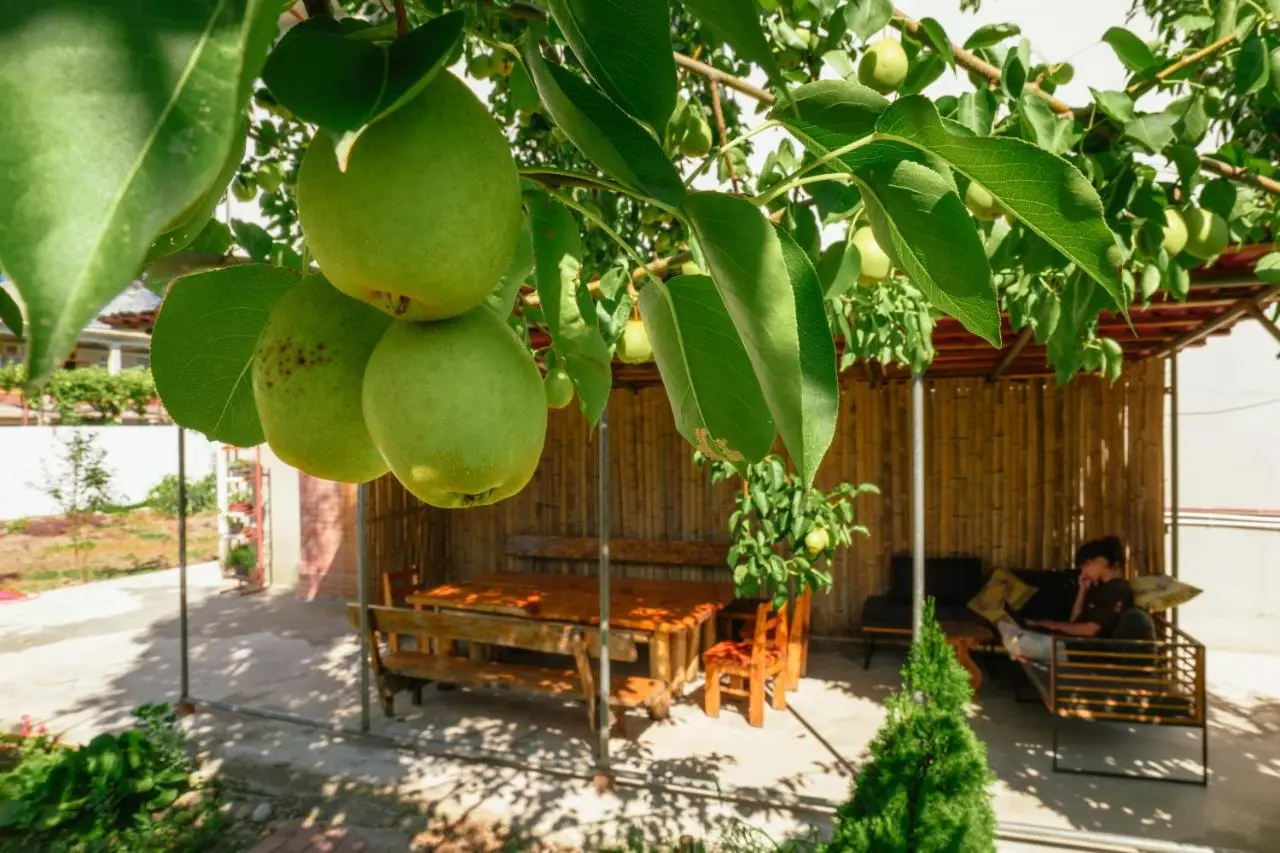 Senima's paradise - Pool & Cottages