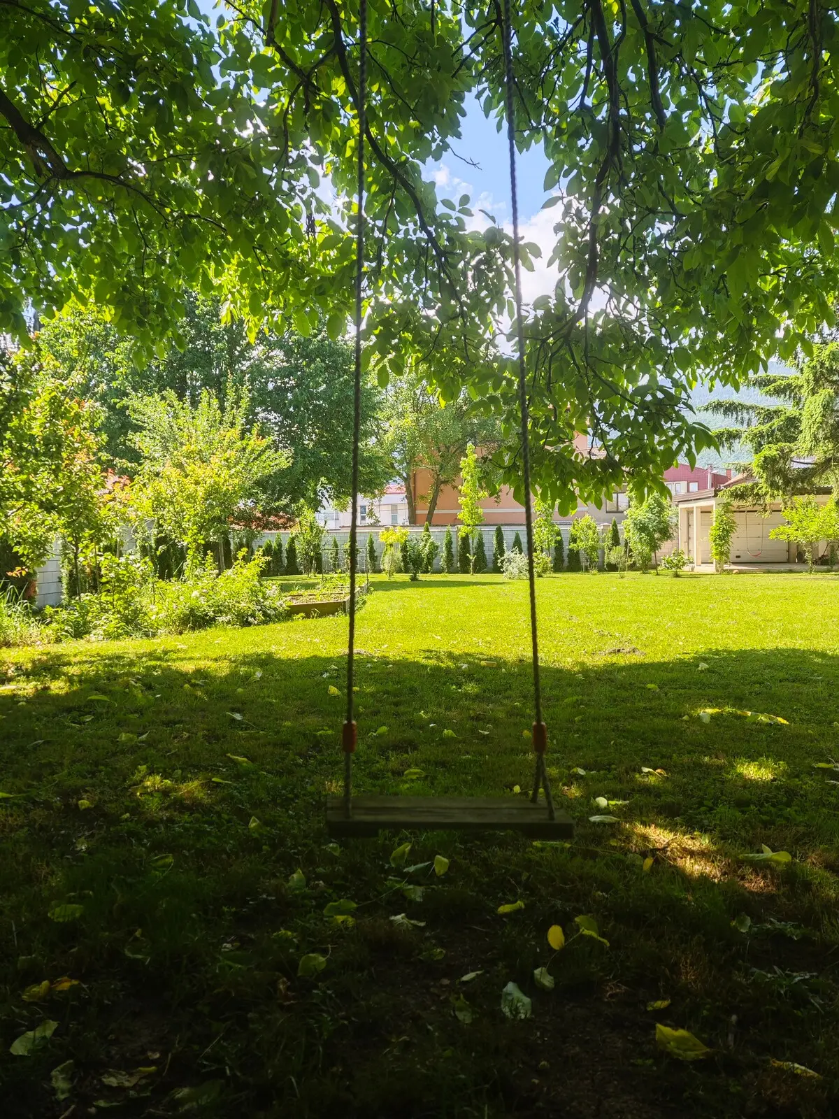 Luxury Villa Plandište 1