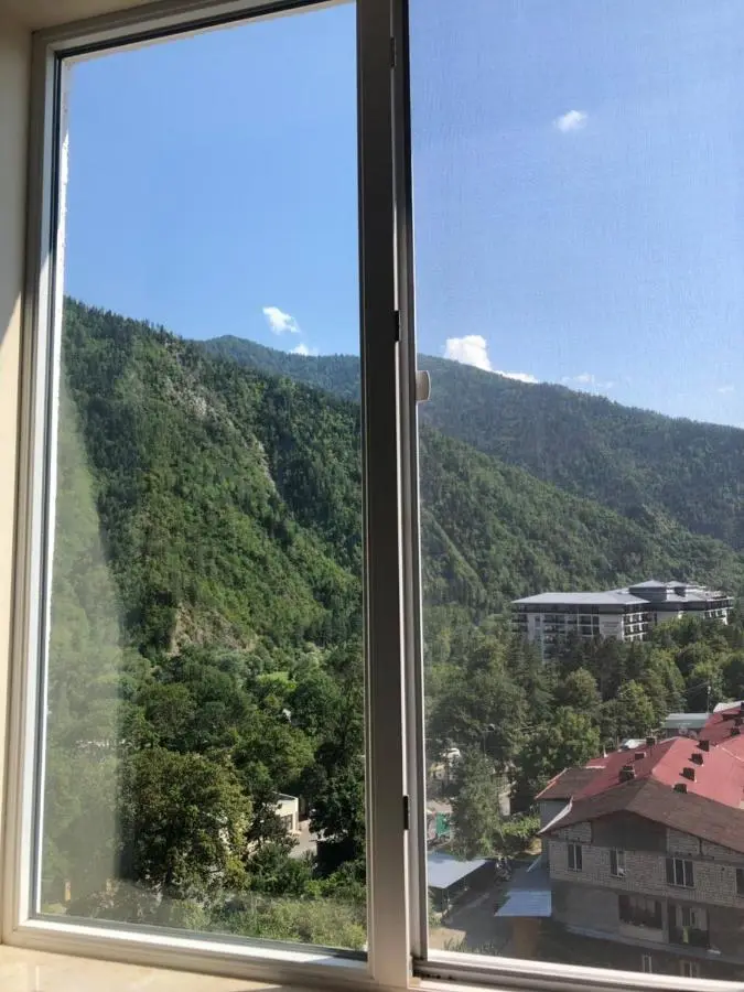 Borjomi-Likani Premium Apartments
