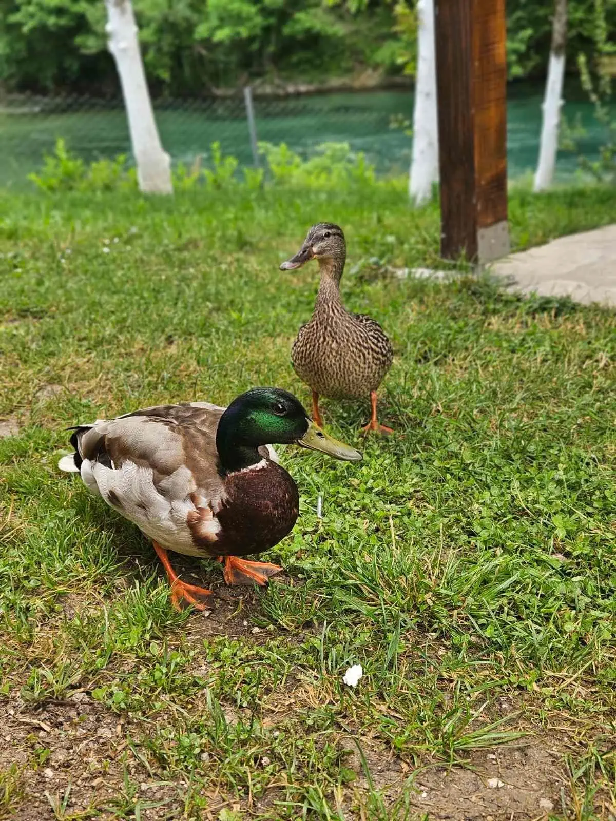 vikendica
na uni
Cazin